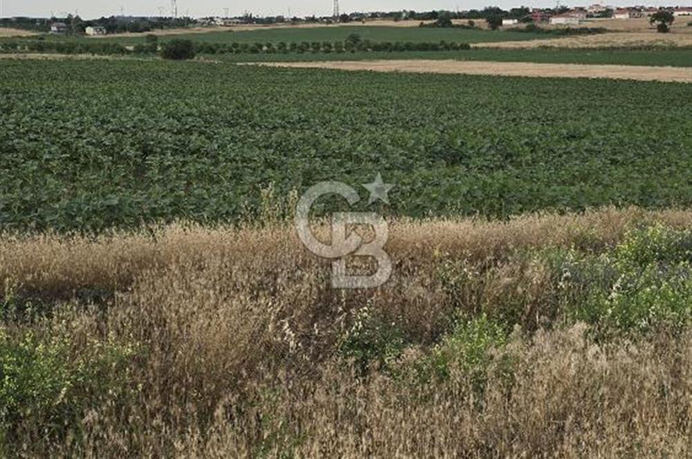 ENEZ'İN EN GELİŞMİŞ KÖYÜNDE EV YAPIMINA UYGUN 7.5 DÖNÜM ARAZİ