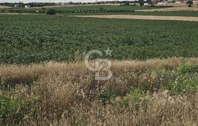 ENEZ'İN EN GELİŞMİŞ KÖYÜNDE EV YAPIMINA UYGUN 7.5 DÖNÜM ARAZİ