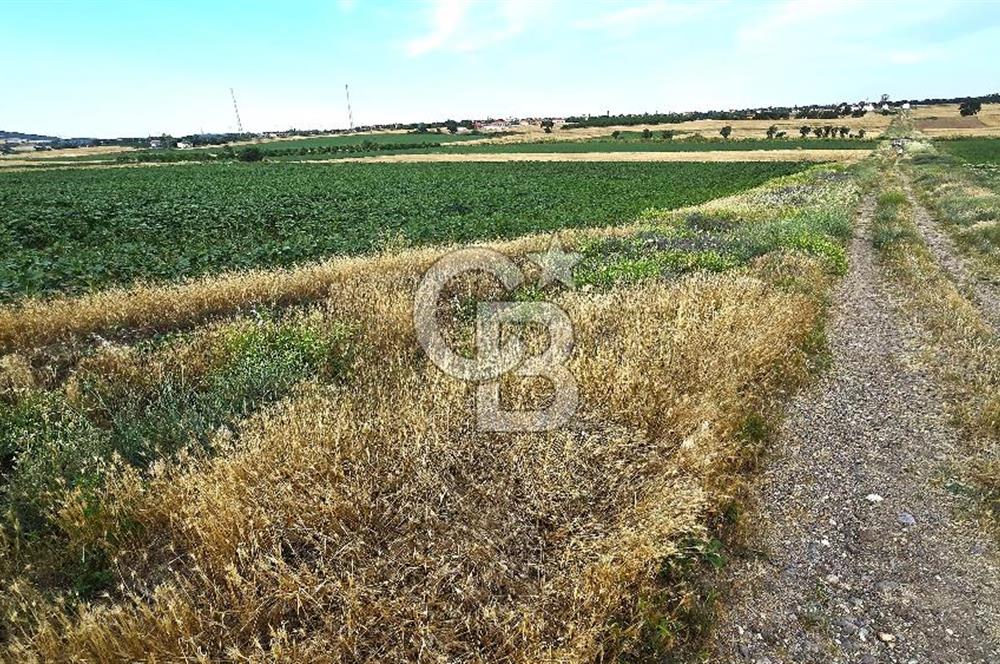 ENEZ'İN EN GELİŞMİŞ KÖYÜNDE EV YAPIMINA UYGUN 7.5 DÖNÜM ARAZİ