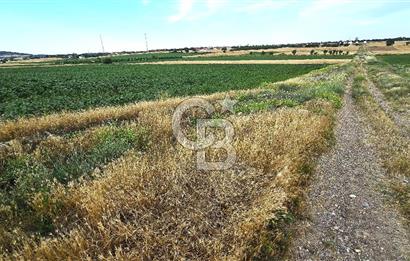 ENEZ'İN EN GELİŞMİŞ KÖYÜNDE EV YAPIMINA UYGUN 7.5 DÖNÜM ARAZİ