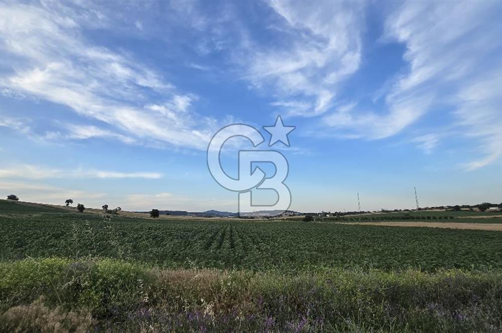 ENEZ'İN EN GELİŞMİŞ KÖYÜNDE EV YAPIMINA UYGUN 7.5 DÖNÜM ARAZİ