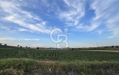 ENEZ'İN EN GELİŞMİŞ KÖYÜNDE EV YAPIMINA UYGUN 7.5 DÖNÜM ARAZİ