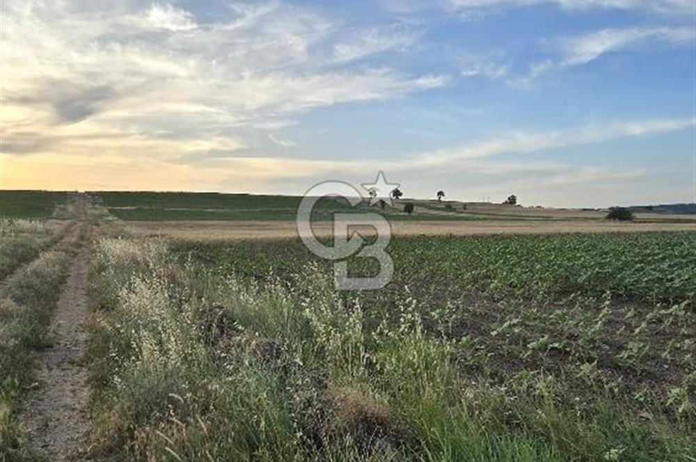 ENEZ'İN EN GELİŞMİŞ KÖYÜNDE EV YAPIMINA UYGUN 7.5 DÖNÜM ARAZİ