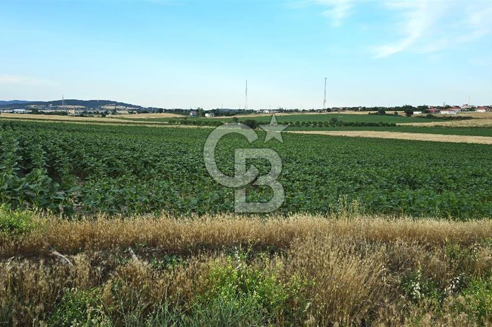 ENEZ'İN EN GELİŞMİŞ KÖYÜNDE EV YAPIMINA UYGUN 7.5 DÖNÜM ARAZİ