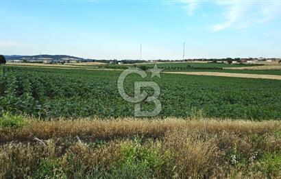 ENEZ'İN EN GELİŞMİŞ KÖYÜNDE EV YAPIMINA UYGUN 7.5 DÖNÜM ARAZİ