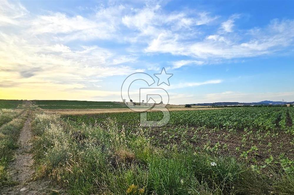 ENEZ'İN EN GELİŞMİŞ KÖYÜNDE EV YAPIMINA UYGUN 7.5 DÖNÜM ARAZİ