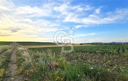 ENEZ'İN EN GELİŞMİŞ KÖYÜNDE EV YAPIMINA UYGUN 7.5 DÖNÜM ARAZİ