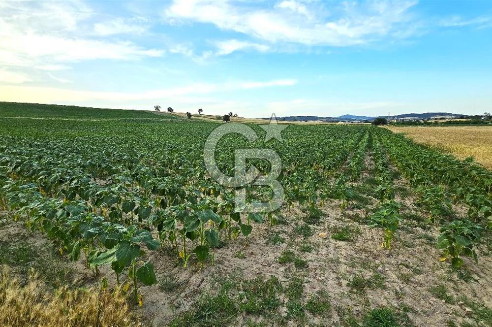 ENEZ'İN EN GELİŞMİŞ KÖYÜNDE EV YAPIMINA UYGUN 7.5 DÖNÜM ARAZİ