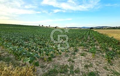 ENEZ'İN EN GELİŞMİŞ KÖYÜNDE EV YAPIMINA UYGUN 7.5 DÖNÜM ARAZİ