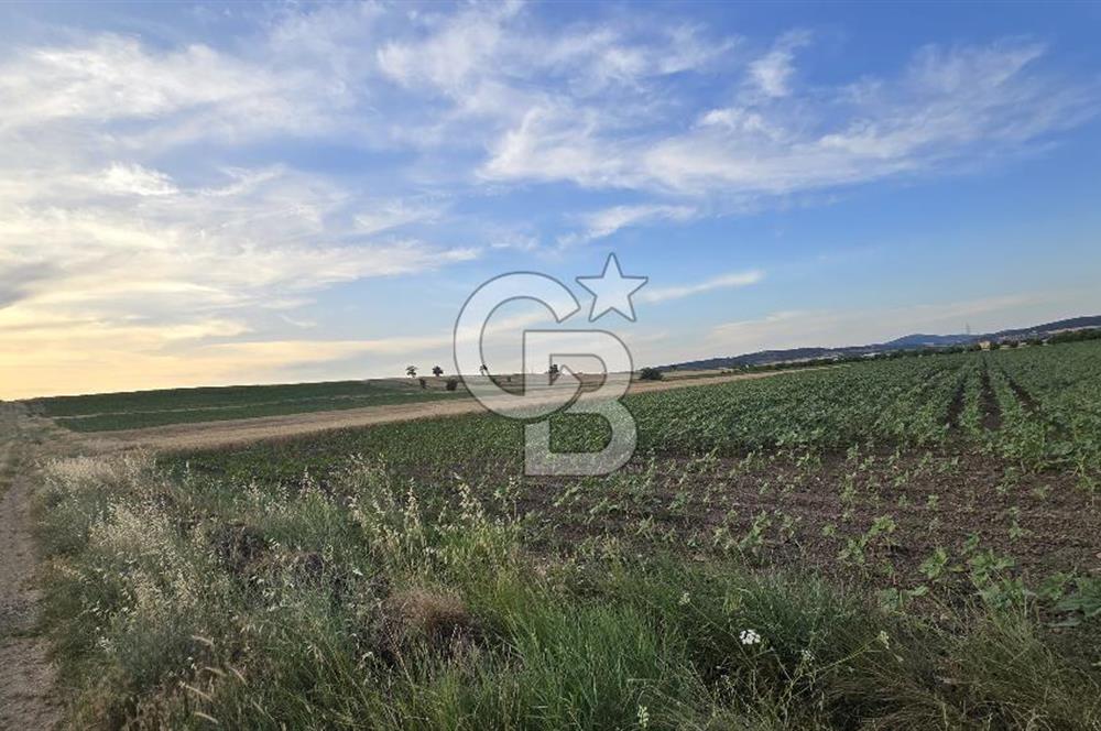 ENEZ'İN EN GELİŞMİŞ KÖYÜNDE EV YAPIMINA UYGUN 7.5 DÖNÜM ARAZİ