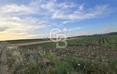 ENEZ'İN EN GELİŞMİŞ KÖYÜNDE EV YAPIMINA UYGUN 7.5 DÖNÜM ARAZİ