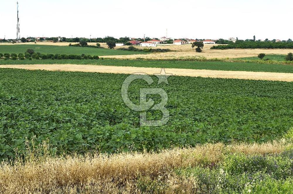 ENEZ'İN EN GELİŞMİŞ KÖYÜNDE EV YAPIMINA UYGUN 7.5 DÖNÜM ARAZİ