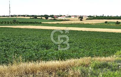 ENEZ'İN EN GELİŞMİŞ KÖYÜNDE EV YAPIMINA UYGUN 7.5 DÖNÜM ARAZİ