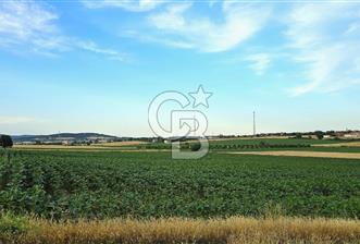 ENEZ'İN EN GELİŞMİŞ KÖYÜNDE EV YAPIMINA UYGUN 7.5 DÖNÜM ARAZİ - 2 - 343806