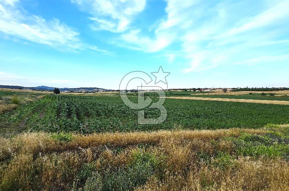 ENEZ'İN EN GELİŞMİŞ KÖYÜNDE EV YAPIMINA UYGUN 7.5 DÖNÜM ARAZİ