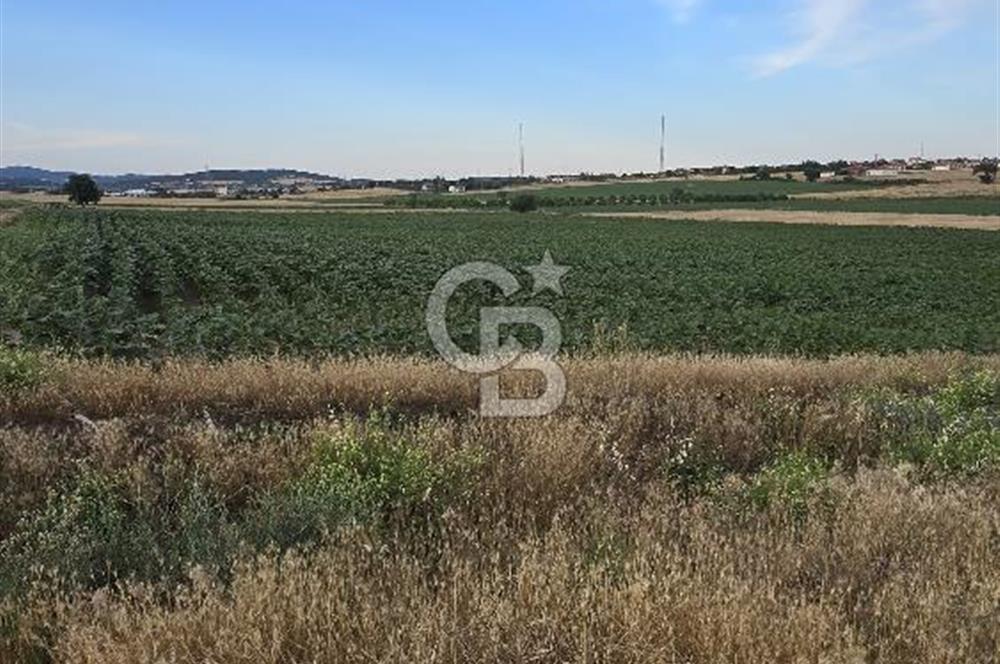 ENEZ'İN EN GELİŞMİŞ KÖYÜNDE EV YAPIMINA UYGUN 7.5 DÖNÜM ARAZİ