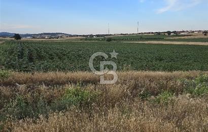 ENEZ'İN EN GELİŞMİŞ KÖYÜNDE EV YAPIMINA UYGUN 7.5 DÖNÜM ARAZİ