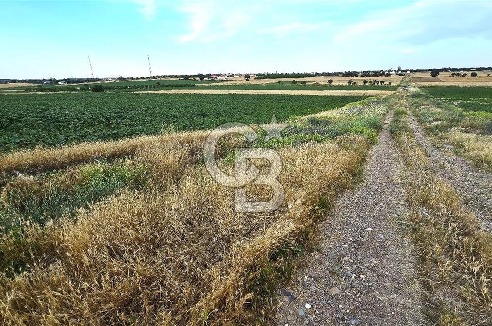 ENEZ'İN EN GELİŞMİŞ KÖYÜNDE EV YAPIMINA UYGUN 7.5 DÖNÜM ARAZİ