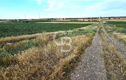 ENEZ'İN EN GELİŞMİŞ KÖYÜNDE EV YAPIMINA UYGUN 7.5 DÖNÜM ARAZİ