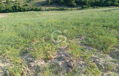 MANİSA AKHİSAR YAYAKIRILDIK'TA 11.980 m² TEK TAPU SATILIK TARLA