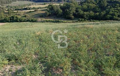 MANİSA AKHİSAR YAYAKIRILDIK'TA 11.980 m² TEK TAPU SATILIK TARLA