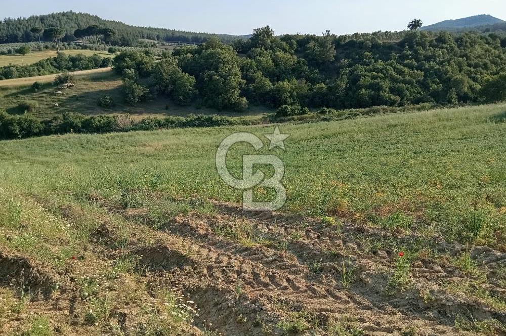 MANİSA AKHİSAR YAYAKIRILDIK'TA 11.980 m² TEK TAPU SATILIK TARLA