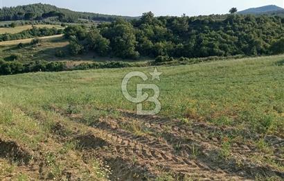 MANİSA AKHİSAR YAYAKIRILDIK'TA 11.980 m² TEK TAPU SATILIK TARLA