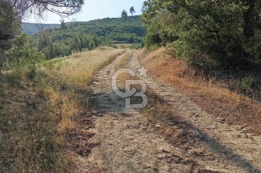 MANİSA AKHİSAR YAYAKIRILDIK'TA 11.980 m² TEK TAPU SATILIK TARLA