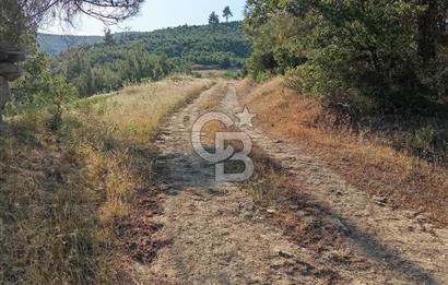 MANİSA AKHİSAR YAYAKIRILDIK'TA 11.980 m² TEK TAPU SATILIK TARLA