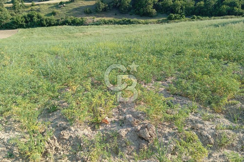 MANİSA AKHİSAR YAYAKIRILDIK'TA 11.980 m² TEK TAPU SATILIK TARLA