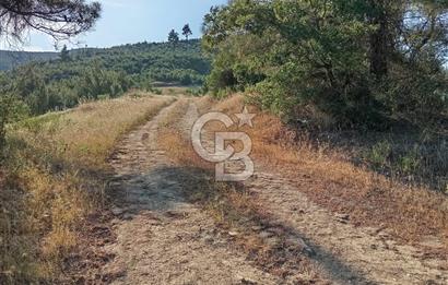 MANİSA AKHİSAR YAYAKIRILDIK'TA 11.980 m² TEK TAPU SATILIK TARLA