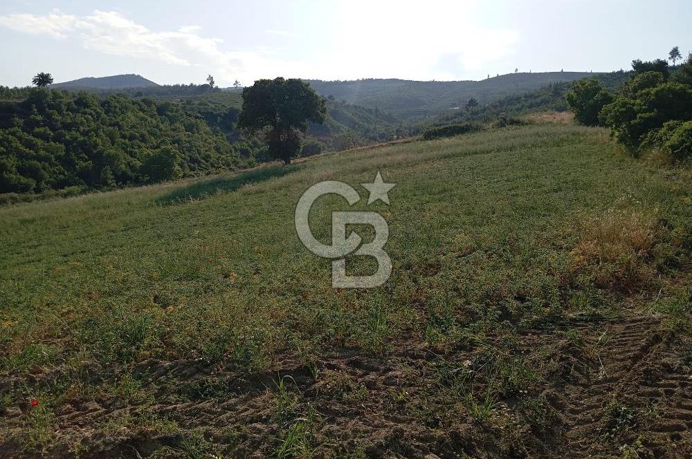 MANİSA AKHİSAR YAYAKIRILDIK'TA 11.980 m² TEK TAPU SATILIK TARLA