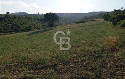 MANİSA AKHİSAR YAYAKIRILDIK'TA 11.980 m² TEK TAPU SATILIK TARLA