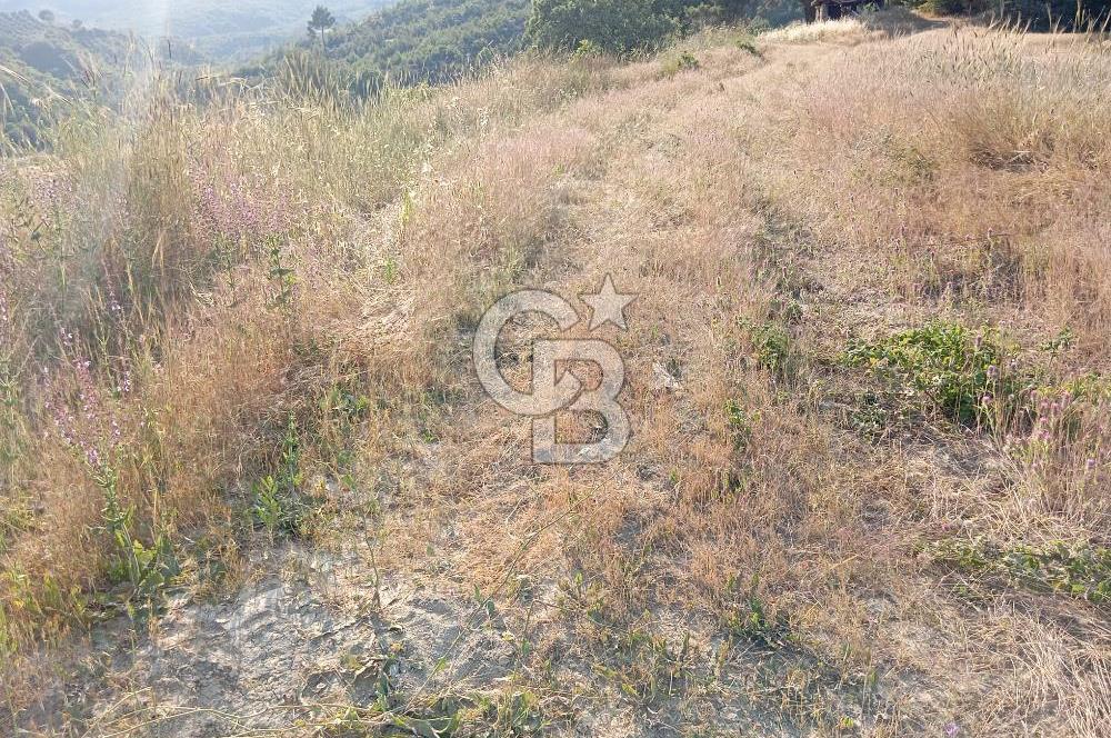 MANİSA AKHİSAR YAYAKIRILDIK'TA 11.980 m² TEK TAPU SATILIK TARLA