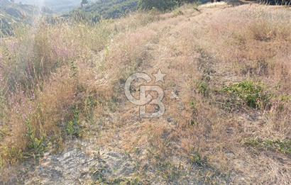 MANİSA AKHİSAR YAYAKIRILDIK'TA 11.980 m² TEK TAPU SATILIK TARLA