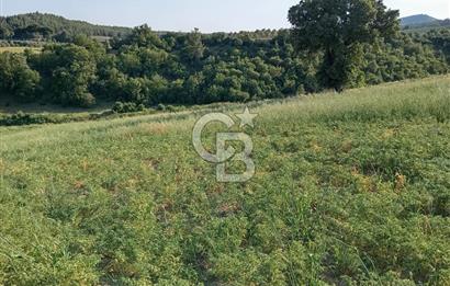 MANİSA AKHİSAR YAYAKIRILDIK'TA 11.980 m² TEK TAPU SATILIK TARLA