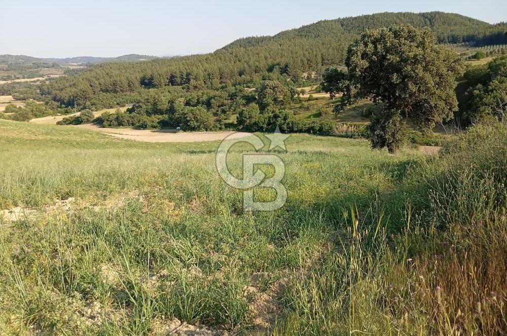 MANİSA AKHİSAR YAYAKIRILDIK'TA 11.980 m² TEK TAPU SATILIK TARLA