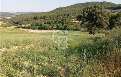 MANİSA AKHİSAR YAYAKIRILDIK'TA 11.980 m² TEK TAPU SATILIK TARLA