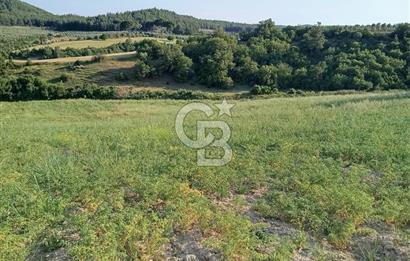 MANİSA AKHİSAR YAYAKIRILDIK'TA 11.980 m² TEK TAPU SATILIK TARLA