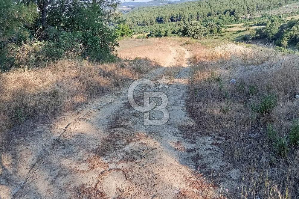 MANİSA AKHİSAR YAYAKIRILDIK'TA 11.980 m² TEK TAPU SATILIK TARLA