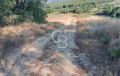 MANİSA AKHİSAR YAYAKIRILDIK'TA 11.980 m² TEK TAPU SATILIK TARLA