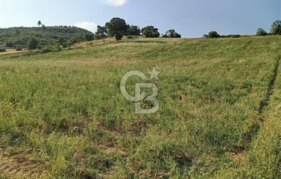 MANİSA AKHİSAR YAYAKIRILDIK'TA 11.980 m² TEK TAPU SATILIK TARLA