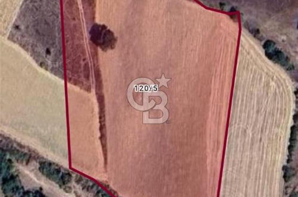 MANİSA AKHİSAR YAYAKIRILDIK'TA 11.980 m² TEK TAPU SATILIK TARLA