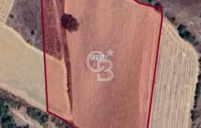 MANİSA AKHİSAR YAYAKIRILDIK'TA 11.980 m² TEK TAPU SATILIK TARLA