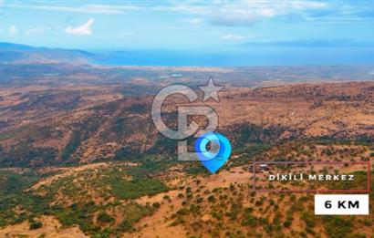 İZMİR-DİKİLİ DE SATILIK KOOPERATİF HİSSESİ