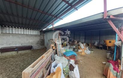 Dazkırı-Bozan Köyünde Satılık Konut, Besihane ve Müştemilatı