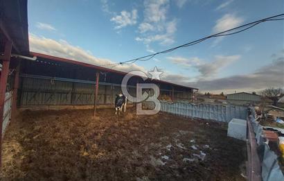 Dazkırı-Bozan Köyünde Satılık Konut, Besihane ve Müştemilatı