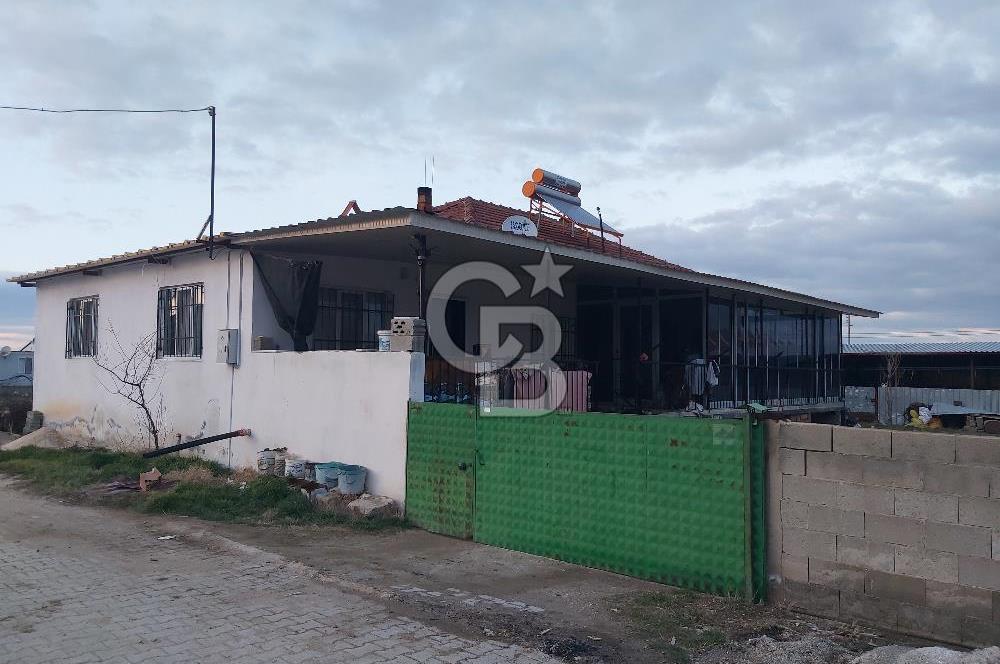 Dazkırı-Bozan Köyünde Satılık Konut, Besihane ve Müştemilatı