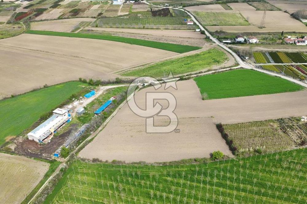 SAKARYA ARİFİYE ARİFBEY'DE 5520M2 SATILIK TARLA