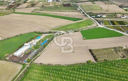 SAKARYA ARİFİYE ARİFBEY'DE 5520M2 SATILIK TARLA